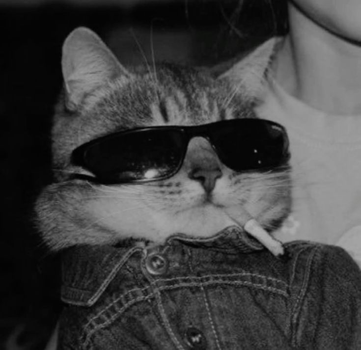 Main Slot Pakai DANA